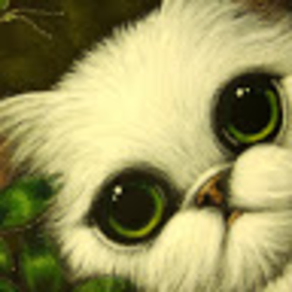 Meet your Posher, Lizbeth